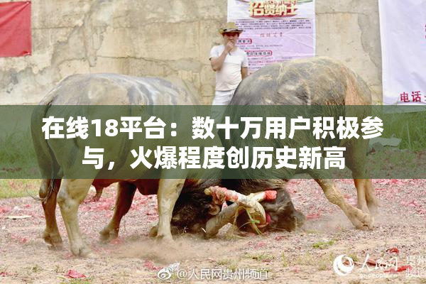 在线18平台：数十万用户积极参与，火爆程度创历史新高