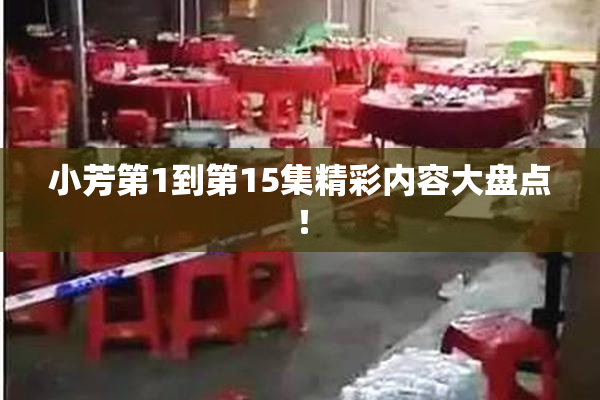 小芳第1到第15集精彩内容大盘点！