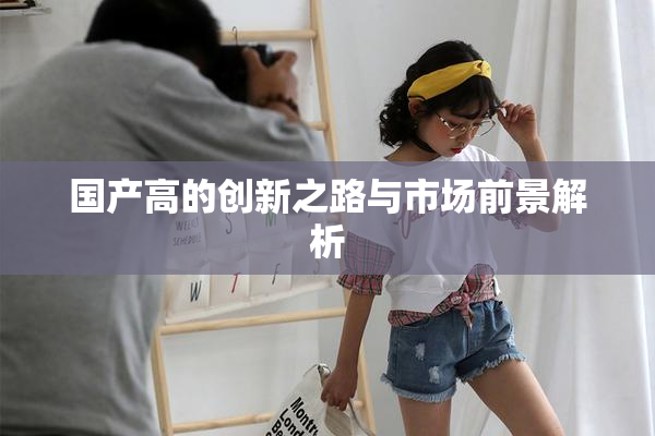 国产高的创新之路与市场前景解析
