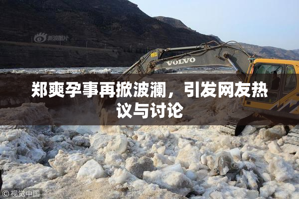 郑爽孕事再掀波澜，引发网友热议与讨论