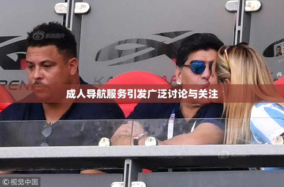 成人导航服务引发广泛讨论与关注