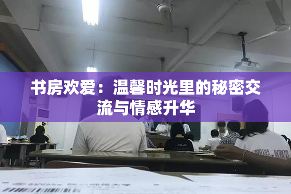 书房欢爱：温馨时光里的秘密交流与情感升华