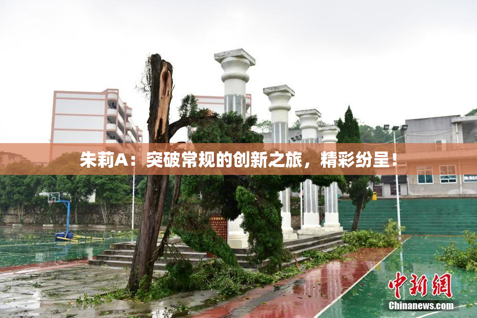 朱莉A：突破常规的创新之旅，精彩纷呈！