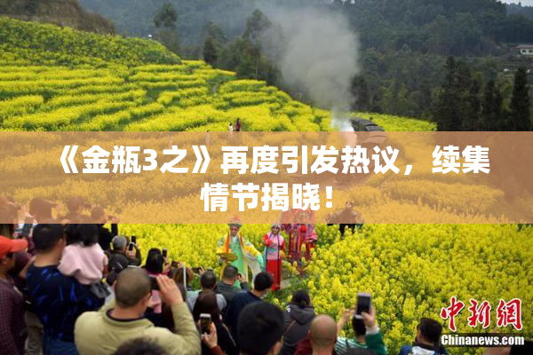 《金瓶3之》再度引发热议，续集情节揭晓！