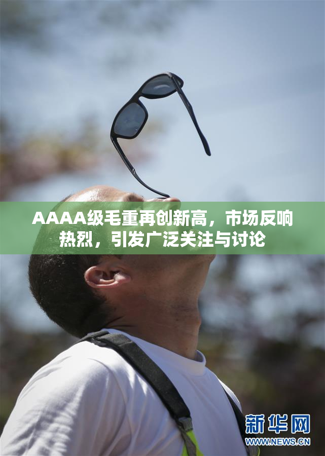 AAAA级毛重再创新高，市场反响热烈，引发广泛关注与讨论
