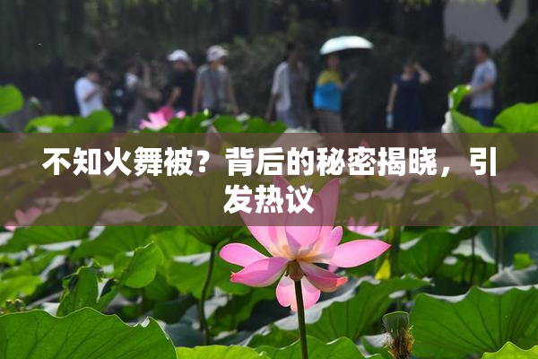 不知火舞被？背后的秘密揭晓，引发热议