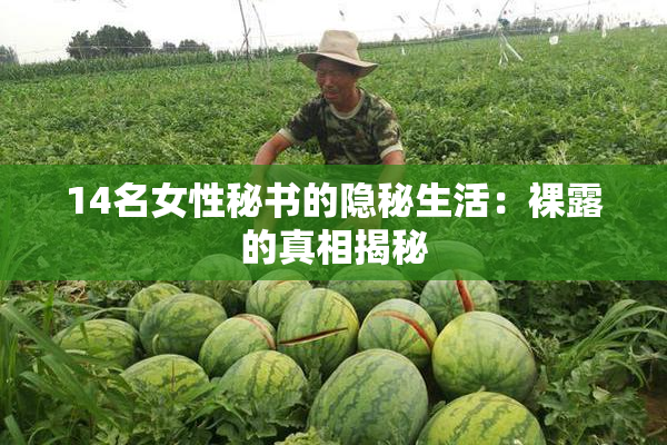 14名女性秘书的隐秘生活：裸露的真相揭秘