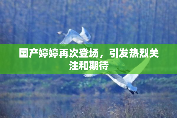 国产婷婷再次登场，引发热烈关注和期待