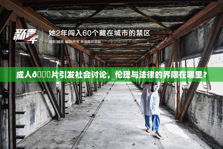 成人🔞片引发社会讨论，伦理与法律的界限在哪里？