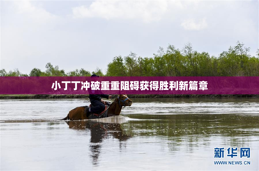 小丁丁冲破重重阻碍获得胜利新篇章