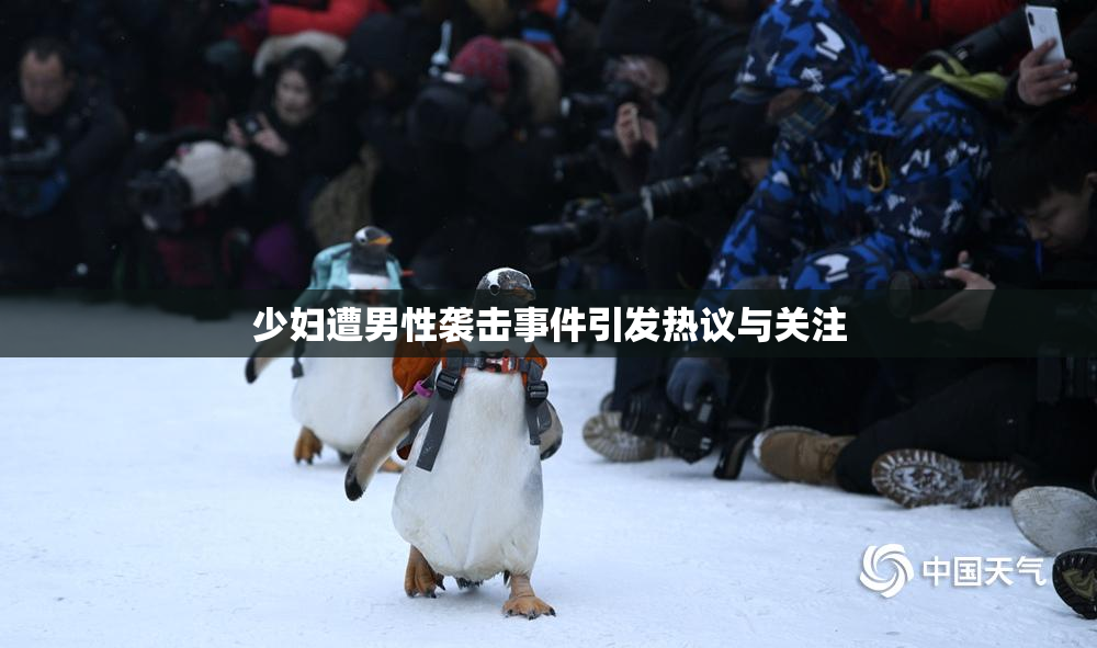 少妇遭男性袭击事件引发热议与关注