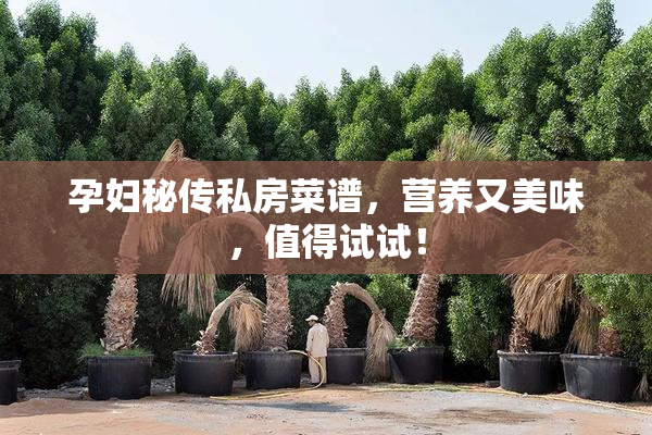 孕妇秘传私房菜谱，营养又美味，值得试试！