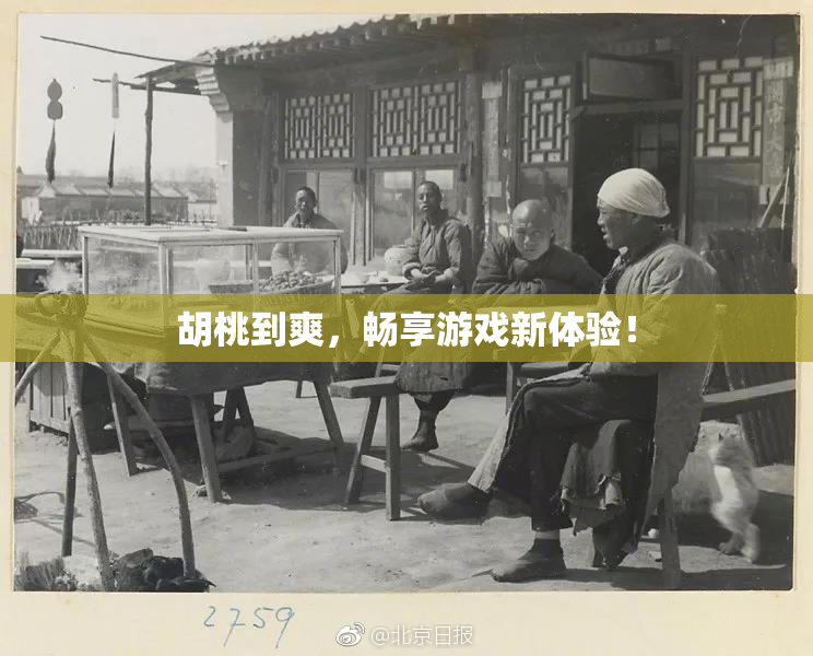 胡桃到爽，畅享游戏新体验！