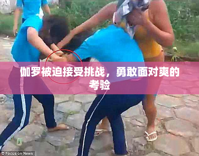 伽罗被迫接受挑战，勇敢面对爽的考验