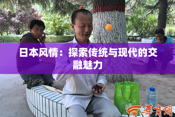 日本风情：探索传统与现代的交融魅力