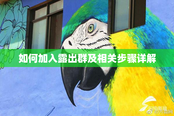 如何加入露出群及相关步骤详解