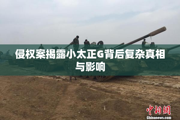 侵权案揭露小太正G背后复杂真相与影响