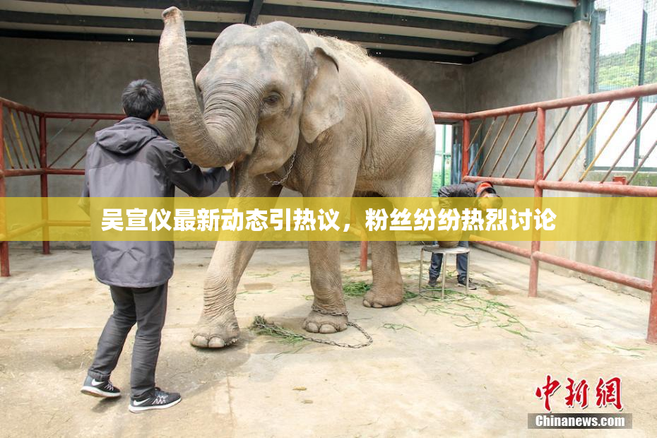 吴宣仪最新动态引热议，粉丝纷纷热烈讨论
