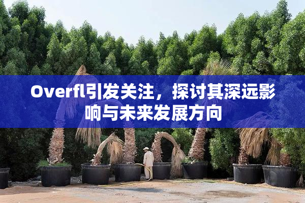 Overfl引发关注，探讨其深远影响与未来发展方向