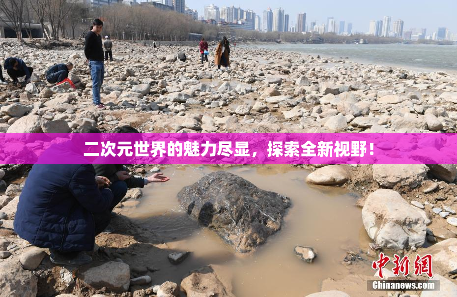 二次元世界的魅力尽显，探索全新视野！