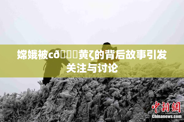 嫦娥被c🔞黄ζ的背后故事引发关注与讨论