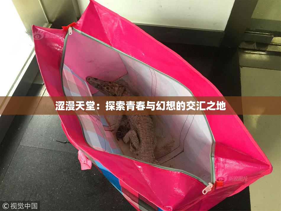 涩漫天堂：探索青春与幻想的交汇之地