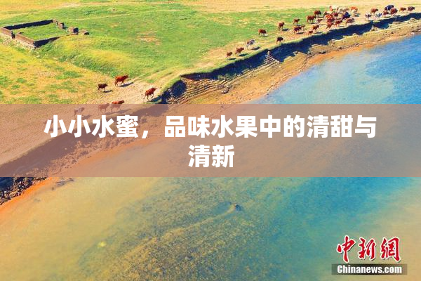 小小水蜜，品味水果中的清甜与清新
