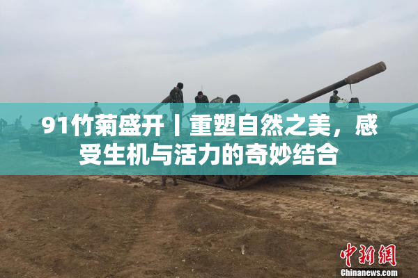 91竹菊盛开丨重塑自然之美，感受生机与活力的奇妙结合