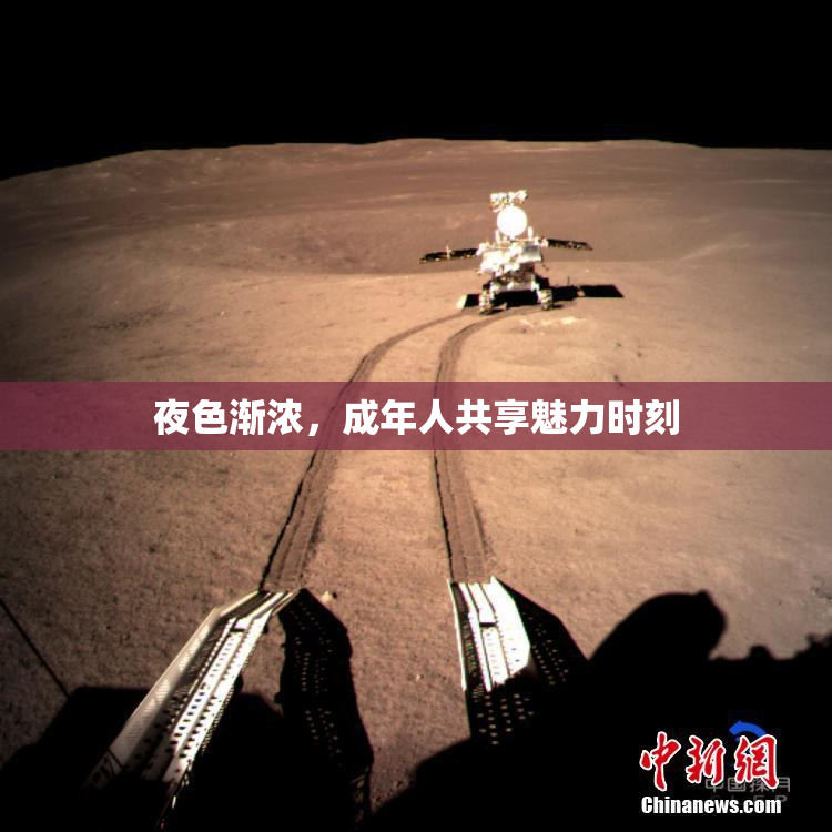 夜色渐浓，成年人共享魅力时刻
