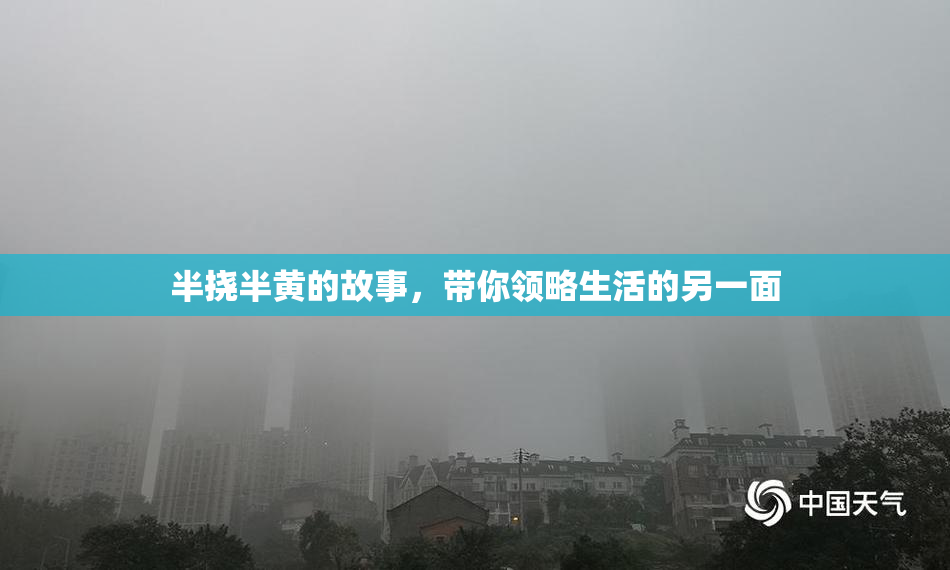 半挠半黄的故事，带你领略生活的另一面