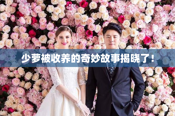 少萝被收养的奇妙故事揭晓了！