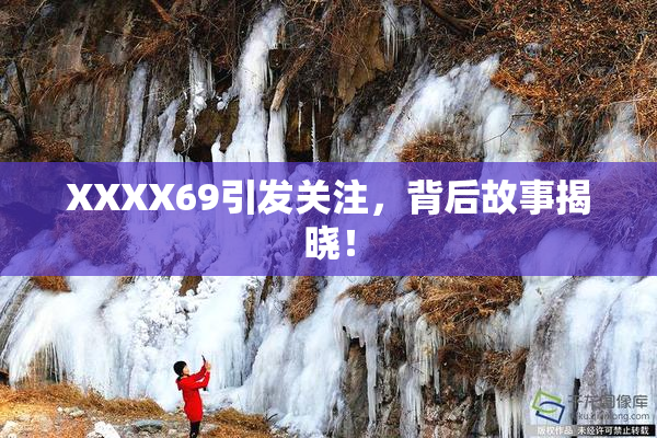 XXXX69引发关注，背后故事揭晓！