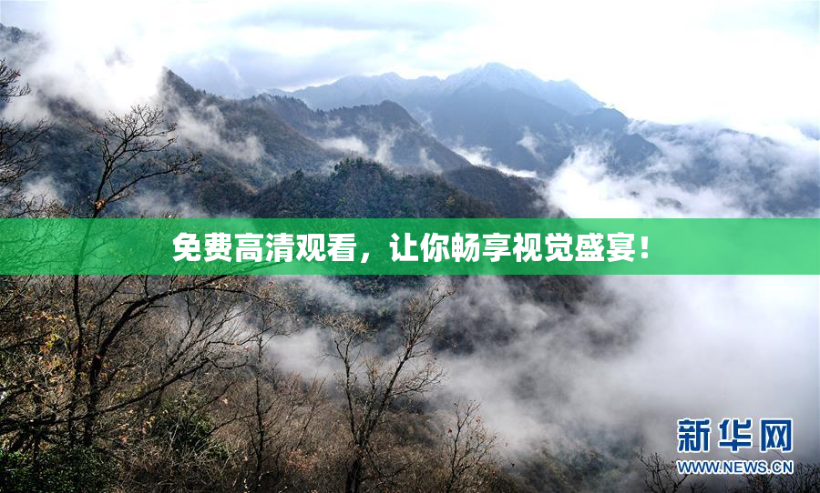免费高清观看，让你畅享视觉盛宴！