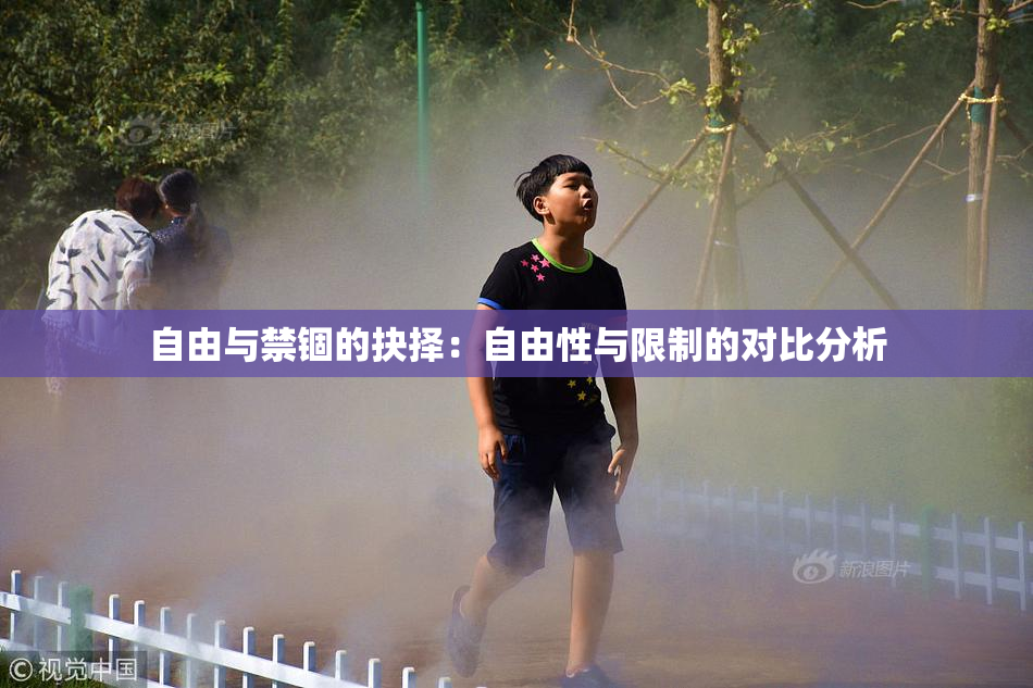 自由与禁锢的抉择：自由性与限制的对比分析