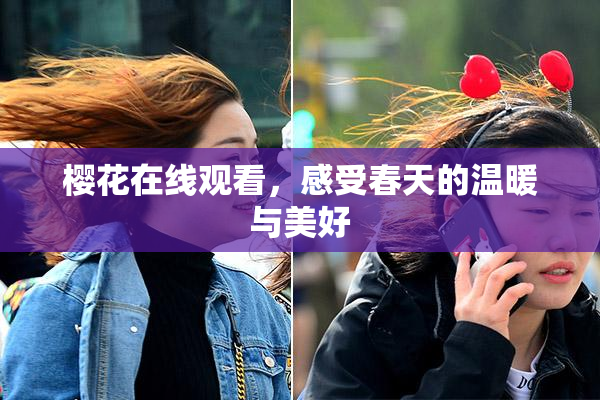 樱花在线观看，感受春天的温暖与美好