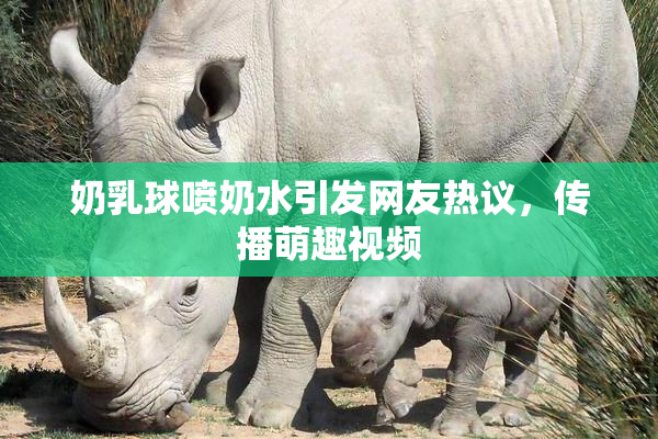 奶乳球喷奶水引发网友热议，传播萌趣视频