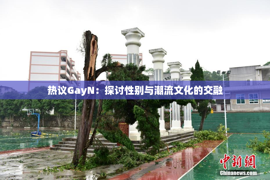 热议GayN：探讨性别与潮流文化的交融