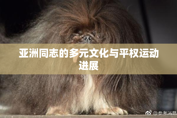 亚洲同志的多元文化与平权运动进展