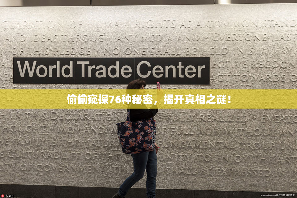 偷偷窥探76种秘密，揭开真相之谜！
