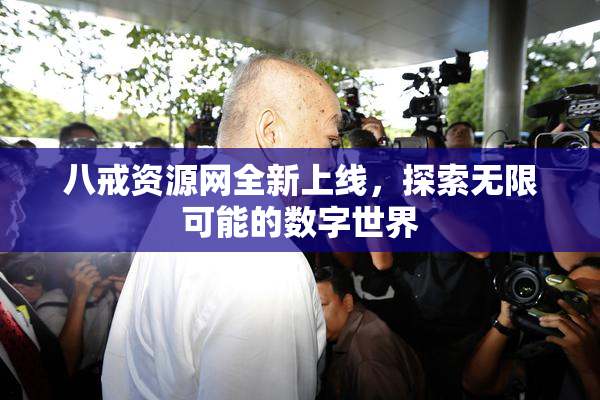 八戒资源网全新上线，探索无限可能的数字世界