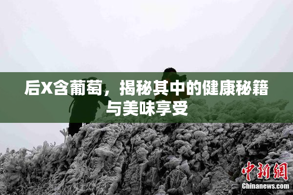 后X含葡萄，揭秘其中的健康秘籍与美味享受