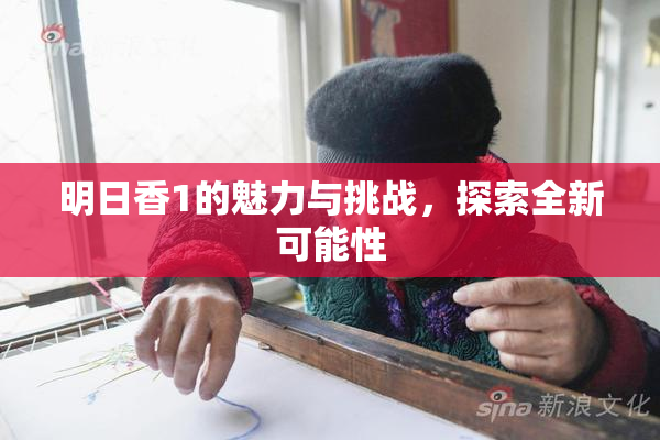 明日香1的魅力与挑战，探索全新可能性