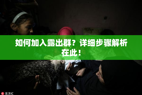 如何加入露出群？详细步骤解析在此！
