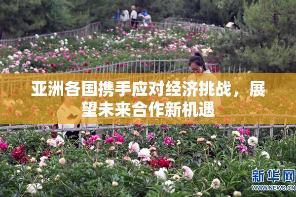 亚洲各国携手应对经济挑战，展望未来合作新机遇