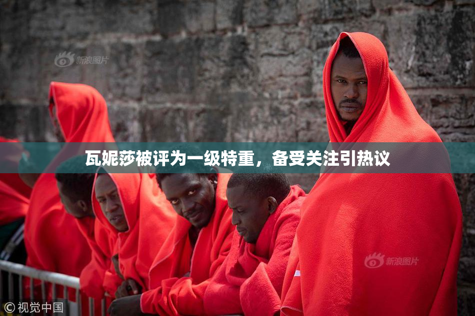 瓦妮莎被评为一级特重，备受关注引热议