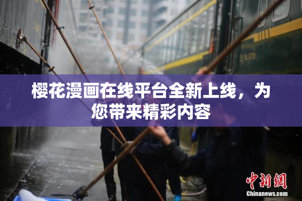 樱花漫画在线平台全新上线，为您带来精彩内容