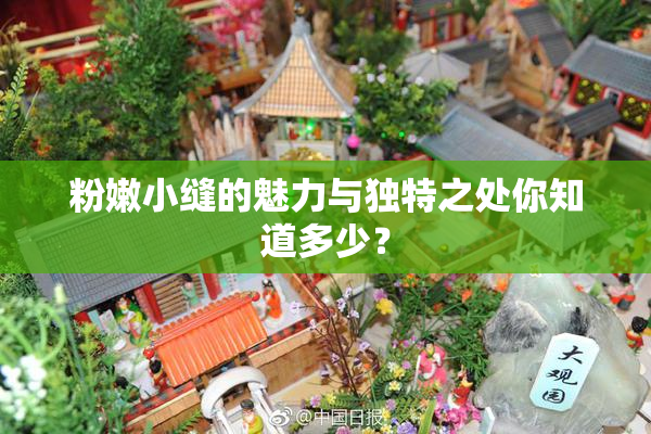 粉嫩小缝的魅力与独特之处你知道多少？