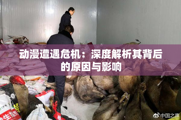 动漫遭遇危机：深度解析其背后的原因与影响