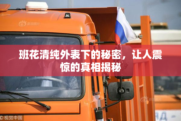 班花清纯外表下的秘密，让人震惊的真相揭秘