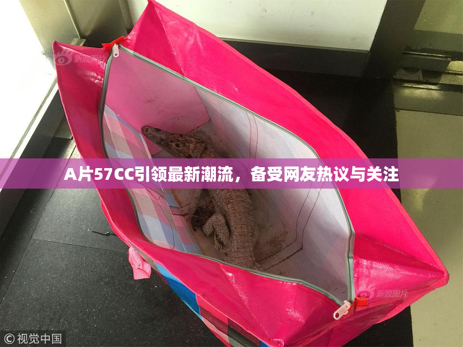 A片57CC引领最新潮流，备受网友热议与关注